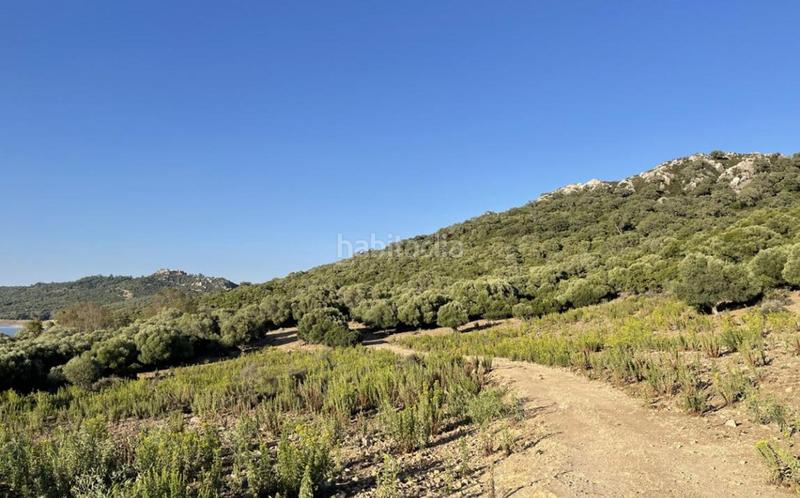 Foto 5b597d55-fd2b-45eb-8ceb-6389d4ded958. Terreno residencial en Castellar de la Frontera