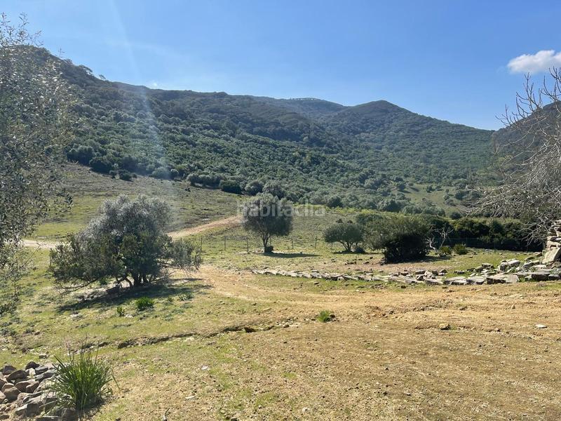 Foto fd146324-cd5f-4674-855a-e74c67ff6170. Terreno residencial en Castellar de la Frontera