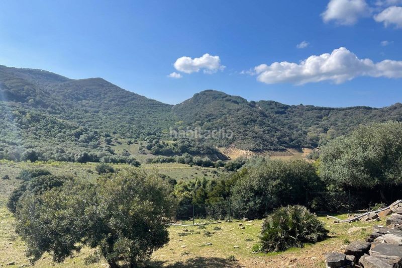 Foto e5b99b18-0a8e-481d-8579-36a9f874b334. Terreno residenziale in Castellar de la Frontera