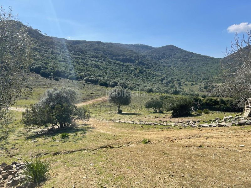 Foto fd146324-cd5f-4674-855a-e74c67ff6170. Terreno residenziale in Castellar de la Frontera
