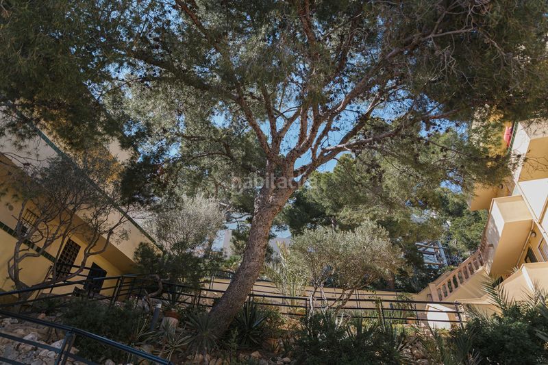 Foto 073ce011-7218-4524-b86c-33a5ac4d4af2. Apartament a port d´Andratx Andratx