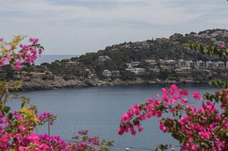Appartement in Port D´Andratx