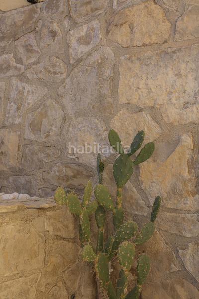 Foto b2e842c2-8093-4c93-8fca-1769651e1a07. Piccolo appartamento in port d´Andratx Andratx