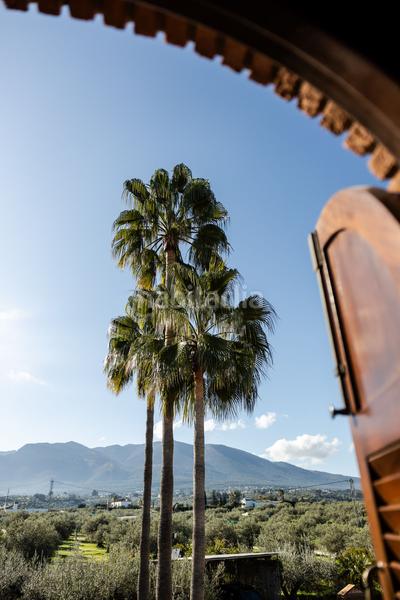 Foto 57280728-2715-4995-90fb-9c902bbedbcd. Casa en Centro Alhaurín el Grande