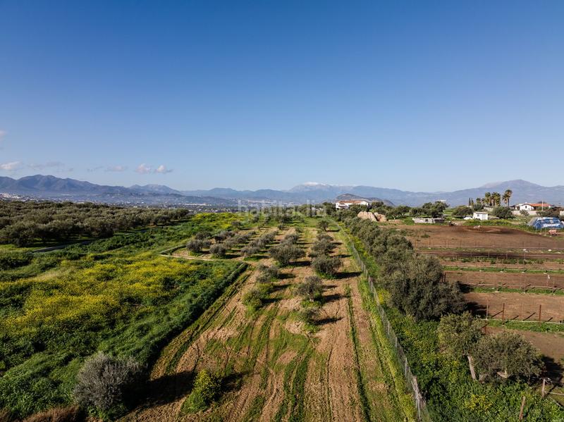 Foto 89af8e16-1557-48fe-bcab-d38eb2171d0c. Casa en Centro Alhaurín el Grande