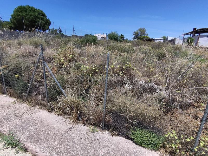 Foto c50a7964-0629-4b42-a9de-1489ba8ed660. Terreno residenziale in Alquería-Torrealquería Alhaurín de la Torre