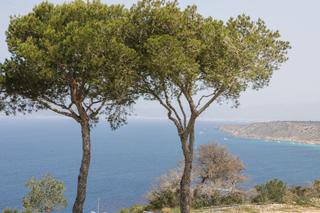 Casa in Badia Blava-Badia Gran-Tolleric