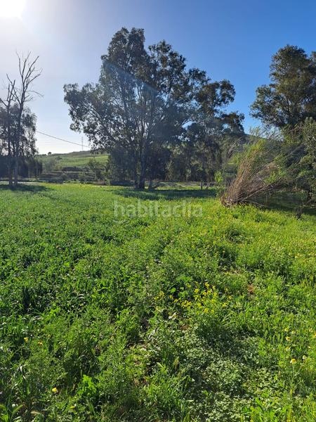 Foto 00cb1c4a-9286-47a7-ac6c-18907e4ba892. Terreno residenziale in Cártama
