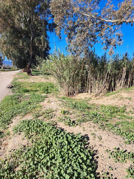 Foto 1022bf17-555e-4645-8725-b68fcfcee7f5. Terreno residenziale in Cártama