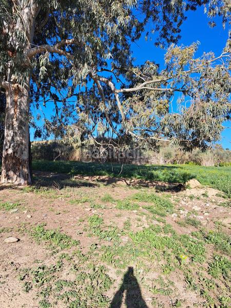 Foto 24083e9c-0137-4466-b0a8-4ddb0932246a. Terreno residenziale in Cártama