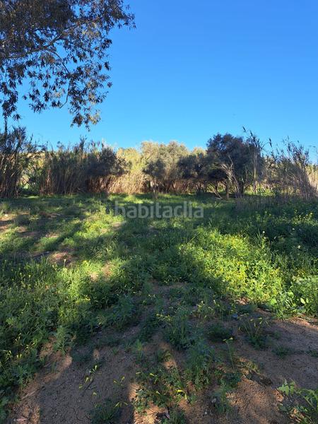 Foto 7789b428-2189-4a7c-8cac-3e0b3fb5c209. Terreno residenziale in Cártama