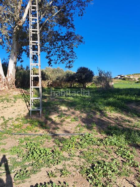 Foto b7535f74-e0d8-4aee-8033-ba95fbbc2892. Terreno residenziale in Cártama