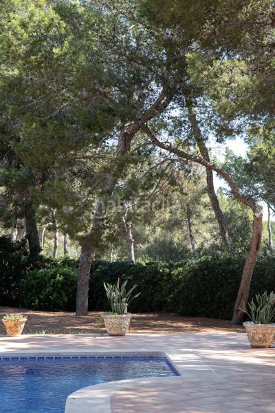 Foto abf6591b-6e2b-41df-a669-e530a7197936. Casa in Sol de Mallorca Calvià
