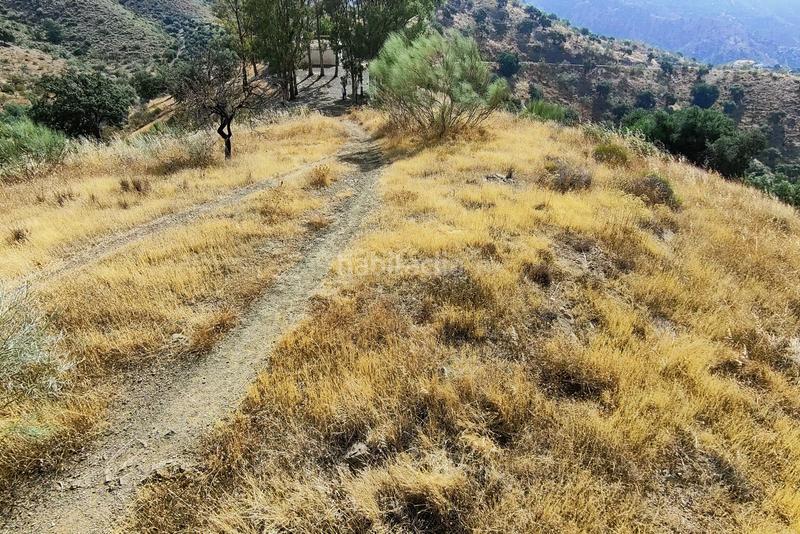 Foto 20a1321f-22d9-47fd-a58e-eb531e614cbf. Terreno residencial en Pinares de San Antón Málaga