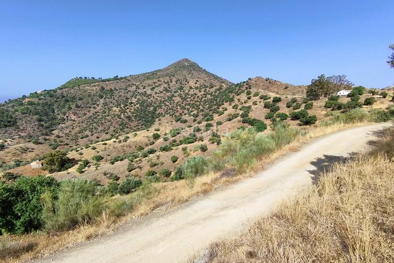 Foto 4dd1fb29-ecbc-4774-a290-404a50bdc48f. Terreno residencial en Pinares de San Antón Málaga