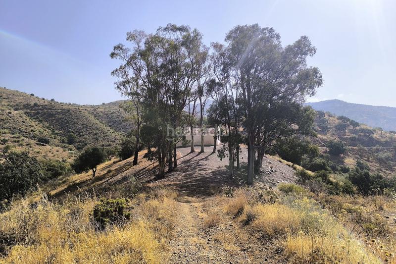 Foto 78beab0c-fe9a-4fa4-bb7f-5caa803657cb. Terreno residencial en Pinares de San Antón Málaga