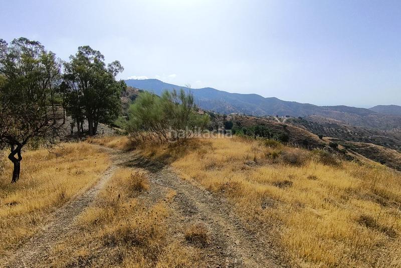 Foto 241e190d-b8ee-404d-b176-32b0923e8860. Residential plot in Pinares de San Antón Málaga