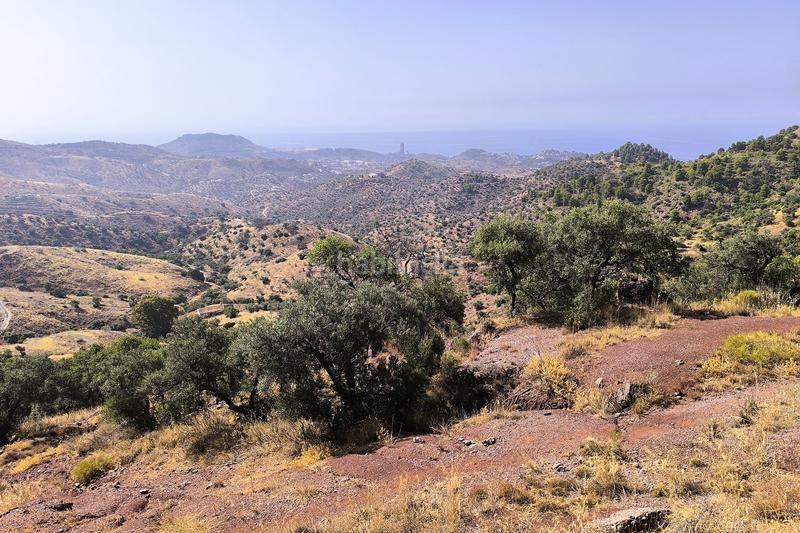 Foto 71b90a65-cec1-458e-8bcb-1e03de50b15a. Terrain résidentiel dans Pinares de San Antón Málaga