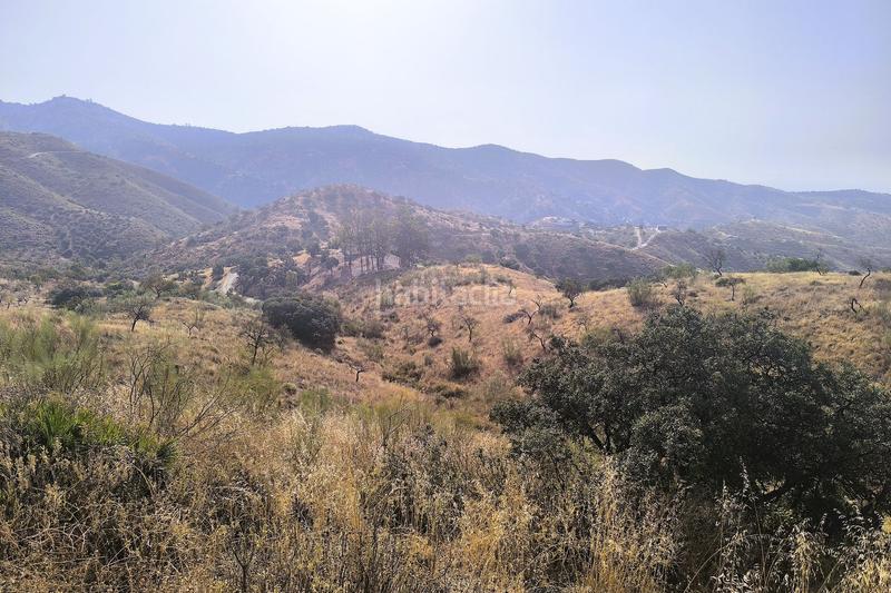 Foto b3de86cc-2f99-4b05-8adf-1a5b4dbbcf02. Terrain résidentiel dans Pinares de San Antón Málaga