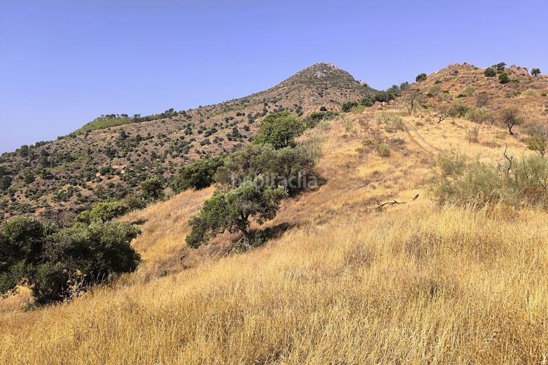 Foto be223ef4-d64d-4bcb-a8d2-4fad93964e44. Terreno residenziale in Pinares de San Antón Málaga