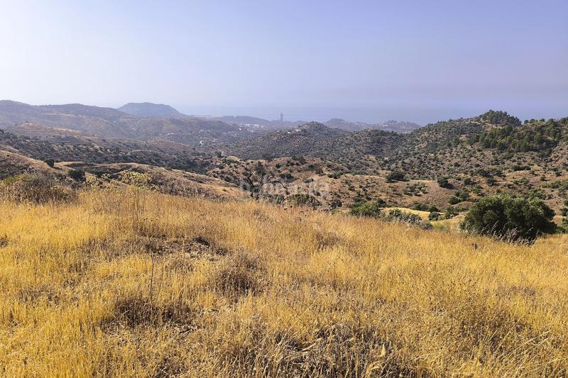 Foto 9b1483fb-9b76-45a8-acb4-f58204e1fa14. Wohngrundstück in Pinares de San Antón Málaga