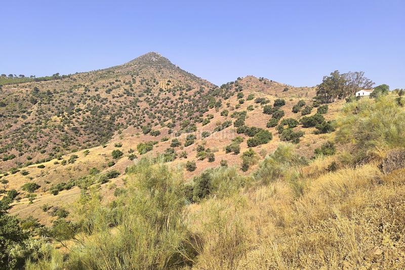 Foto aba17043-2841-49e8-8a46-449402efa061. Wohngrundstück in Pinares de San Antón Málaga