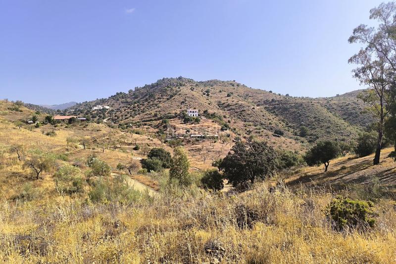 Foto b783c803-f249-451d-b7af-9c07a3769146. Wohngrundstück in Pinares de San Antón Málaga