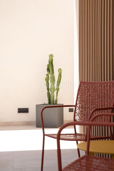 Foto ea003213-8e48-492c-838e-9853941144a5. Apartament a Son Armadams Palma de Mallorca