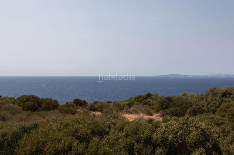 Foto 68196dea-e67d-461d-a218-ce3067ef76d3. Alquiler casa en Sa Torre Llucmajor
