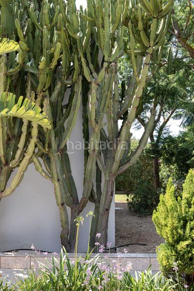 Foto 515709bf-9c3e-44b2-b764-7a0784433a04. Location maison dans Sa Torre Llucmajor