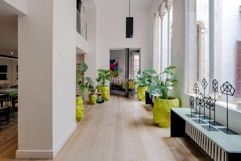 Foto 4f6d381b-b42c-4f26-861d-9d93a00ef8c1. Alquiler dúplex en La Llotja-Born Palma de Mallorca