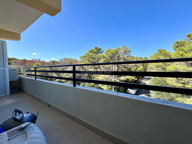 Foto dfb0cc2f-c87c-4d1e-95cc-999e91b4bf25. Apartament a Sol de Mallorca Calvià