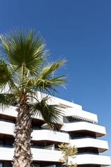 Penthouse in Los Álamos