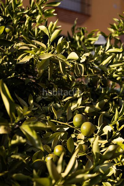 Foto 68e08645-074e-4dfb-bcbb-c0711caed7d4. Haus in Pedregalejo - Morlaco Málaga