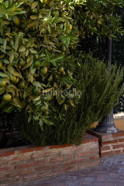 Foto 71174d4e-1308-44ce-97ae-b0a78a6af763. Maison dans Pedregalejo - Morlaco Málaga