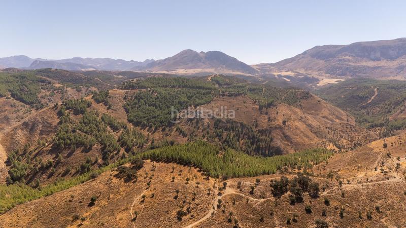 Foto d4355e68-df36-45d1-9730-204448648021. Terreny residencial a Cueva de Menga Antequera