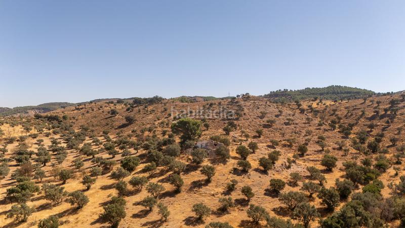 Foto 64a0b12b-edb3-41bd-9930-f0f9983c5beb. Terrain résidentiel dans Cueva de Menga Antequera