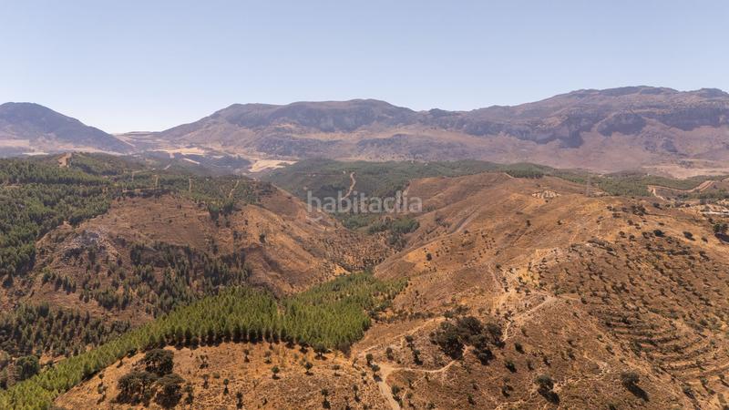 Foto 525f77c8-33e9-4013-8022-da7107b45901. Terreno residenziale in Cueva de Menga Antequera