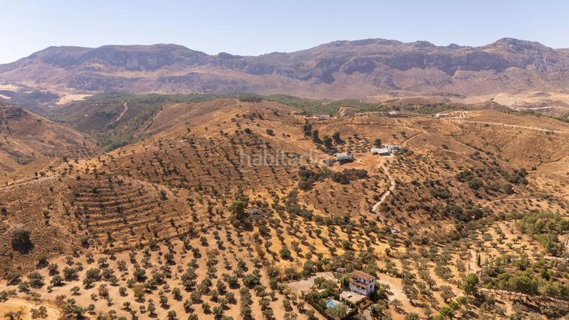 Foto 6b8e5f7f-8f4b-4065-a318-70309a68086c. Terreno residenziale in Cueva de Menga Antequera