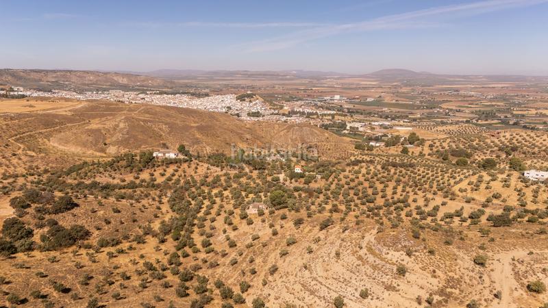 Foto 9f76bd58-96bd-4dd3-b815-06ff4b9473b8. Terreno residenziale in Cueva de Menga Antequera