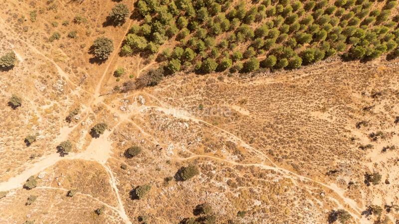 Foto 0bf366ab-2f24-4082-bc97-df5810d58c23. Wohngrundstück in Cueva de Menga Antequera