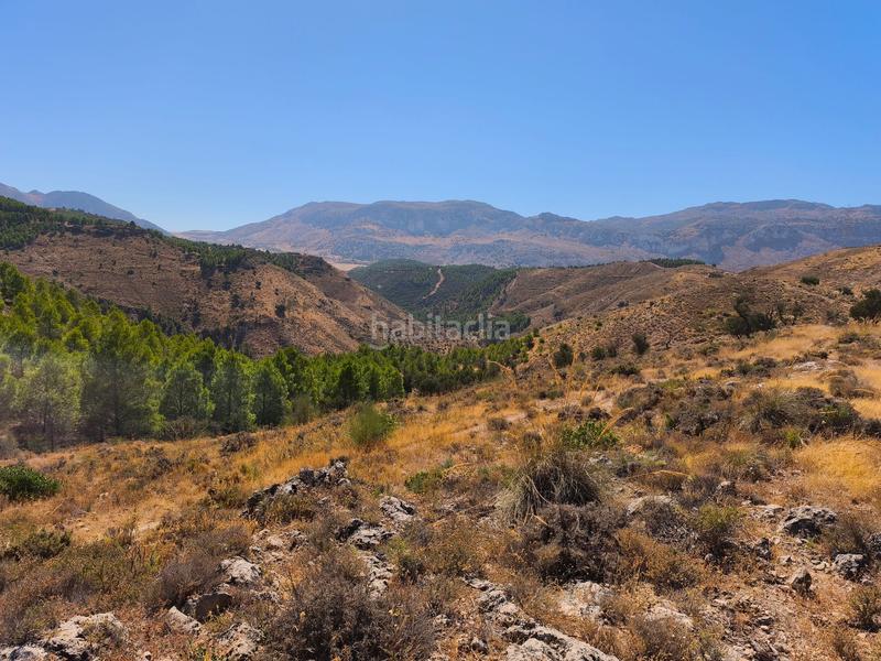 Foto 7116075b-a526-4cc3-835d-6652ca0aa657. Wohngrundstück in Cueva de Menga Antequera