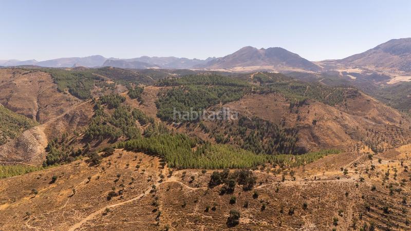 Foto ac9b5b9e-009e-4dae-afd0-ea030a4f0435. Wohngrundstück in Cueva de Menga Antequera