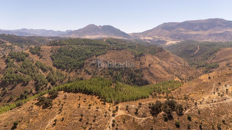 Foto 1156de91-7a49-4dc3-9fc1-08744baab7ed. Terreno residenziale in Cueva de Menga Antequera