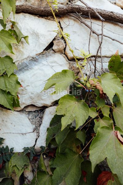 Foto 6f13031c-6ab2-4a47-9de7-f42116812775. Xalet a Pinos de Alhaurín Alhaurín de la Torre