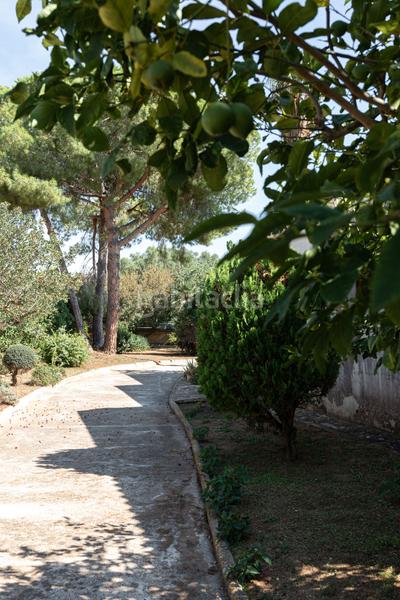 Foto 6a8715dc-233e-4bcc-8ad4-4a66f615fcf1. Casa in Sa Cabaneta Marratxí