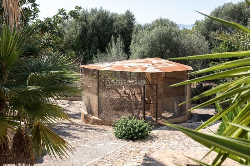 Foto ea5d09c0-6ed6-42f3-841a-57afb7fa5ca4. Casa in Sa Cabaneta Marratxí