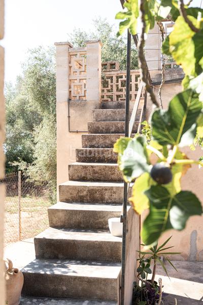 Foto fb9e7bc8-f1ce-4a46-ad4e-52a3520c71a6. Casa in Sa Cabaneta Marratxí