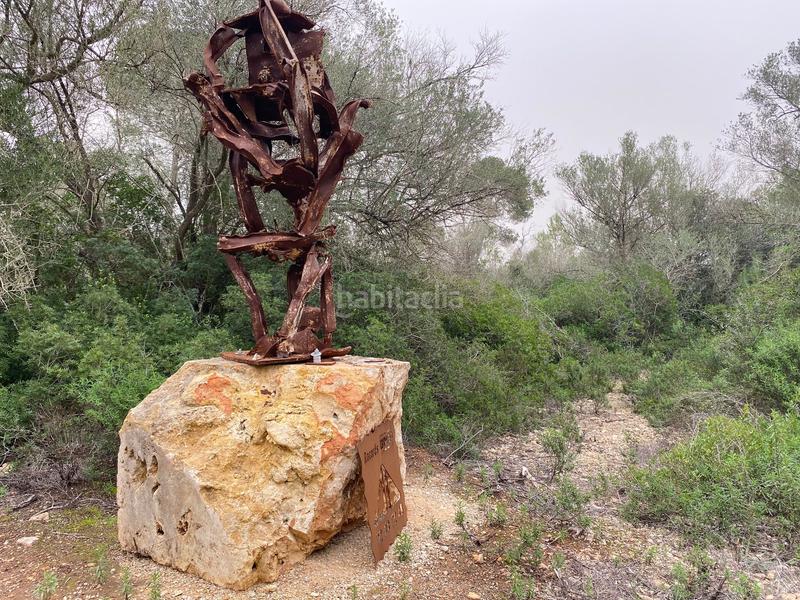 Foto 3c1d0d62-d36b-4e30-a006-a23778685b0a. Affitto casa in Sencelles