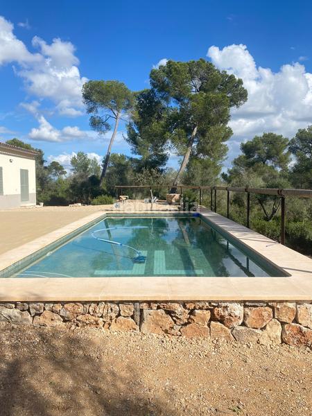 Foto 7154a387-c407-4305-8e5a-0debd065e918. Affitto casa in Sencelles